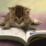 本の読み方。